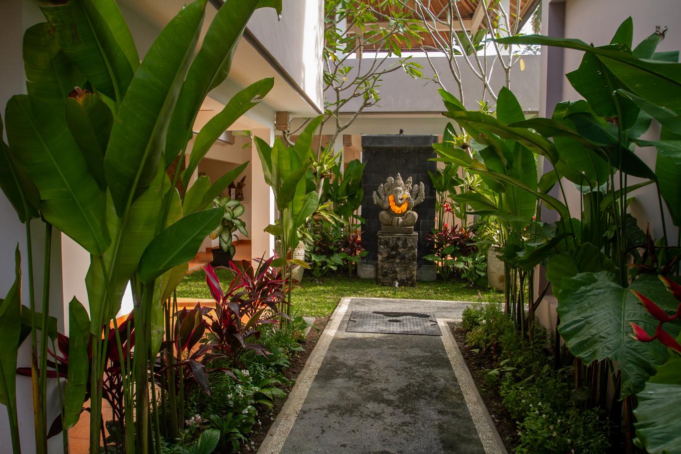 Suite-jungle-view0
